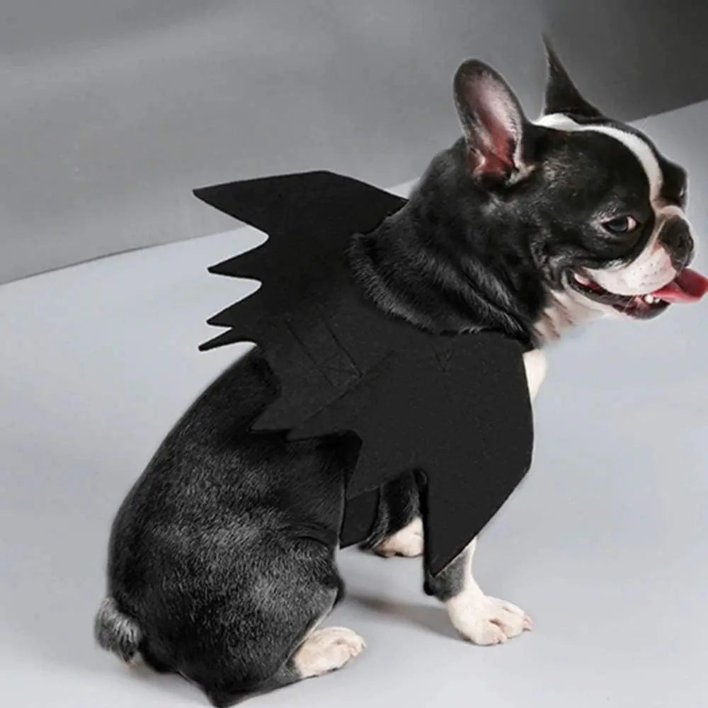 Cat Bat Wings Costume, Black Halloween Cosplay Accessory