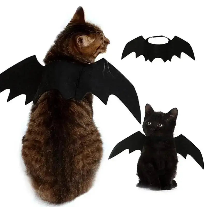 Cat Bat Wings Costume, Black Halloween Cosplay Accessory