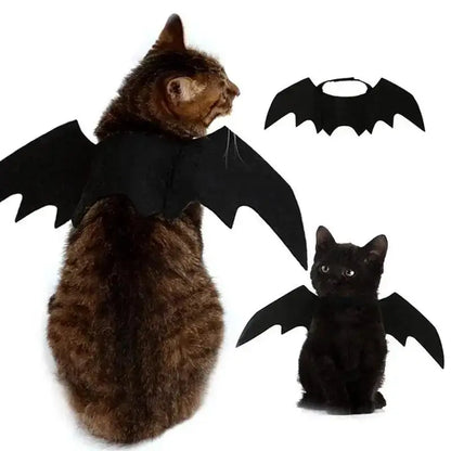 Cat Bat Wings Costume, Black Halloween Cosplay Accessory