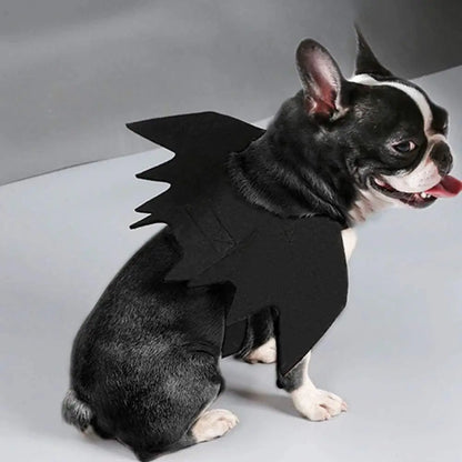 Cat Bat Wings Costume, Black Halloween Cosplay Accessory