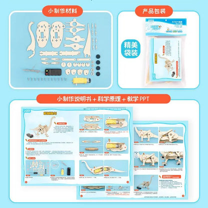 DIY STEM Science Kit Wooden Dinosaur Model for Teens
