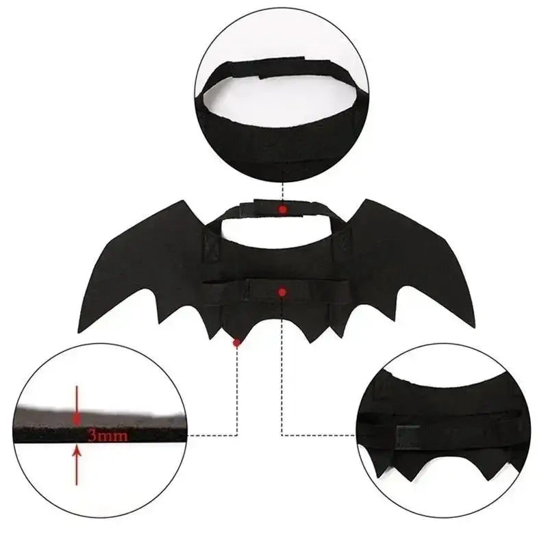 Cat Bat Wings Costume, Black Halloween Cosplay Accessory