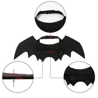 Cat Bat Wings Costume, Black Halloween Cosplay Accessory