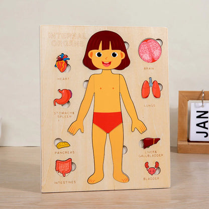 Human Body Puzzle for Kids – Wooden Body Parts Learning Toy