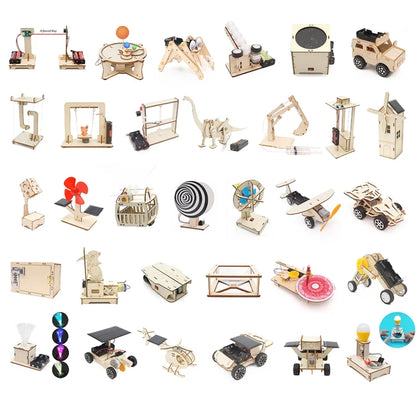 DIY STEM Science Kit Wooden Dinosaur Model for Teens