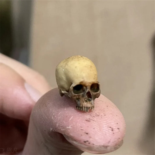 Mini Skull Decoration, Halloween Dollhouse and Diorama Accessory