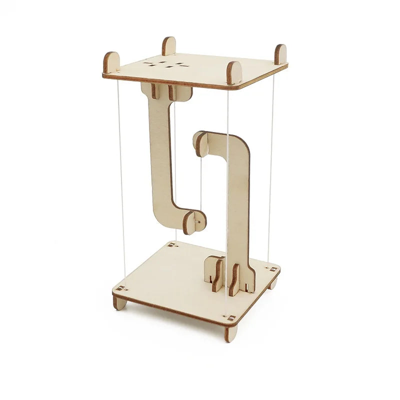 DIY STEM Science Kit Wooden Dinosaur Model for Teens