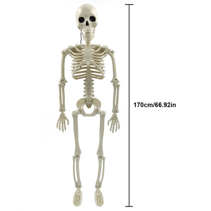 Halloween Skeleton Decoration, Posable Full-Size Figure for Yard