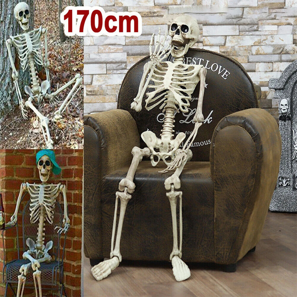 Halloween Skeleton Decoration, Posable Full-Size Figure for Yard