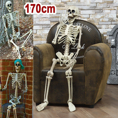 Halloween Skeleton Decoration, Posable Full-Size Figure for Yard