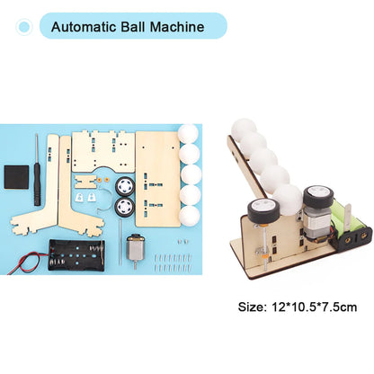 DIY STEM Science Kit Wooden Dinosaur Model for Teens
