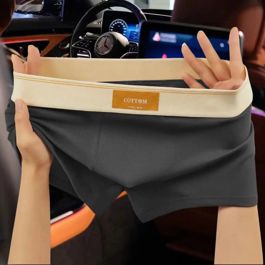 Men's Boxer Shorts 4-Pack Cotton Breathable Underwear L-7XL
