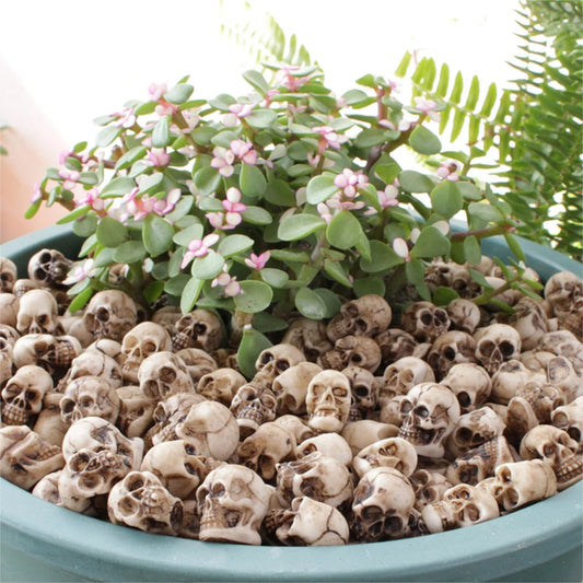 Mini Halloween Skull Decorations, 20-Piece Resin Figurines