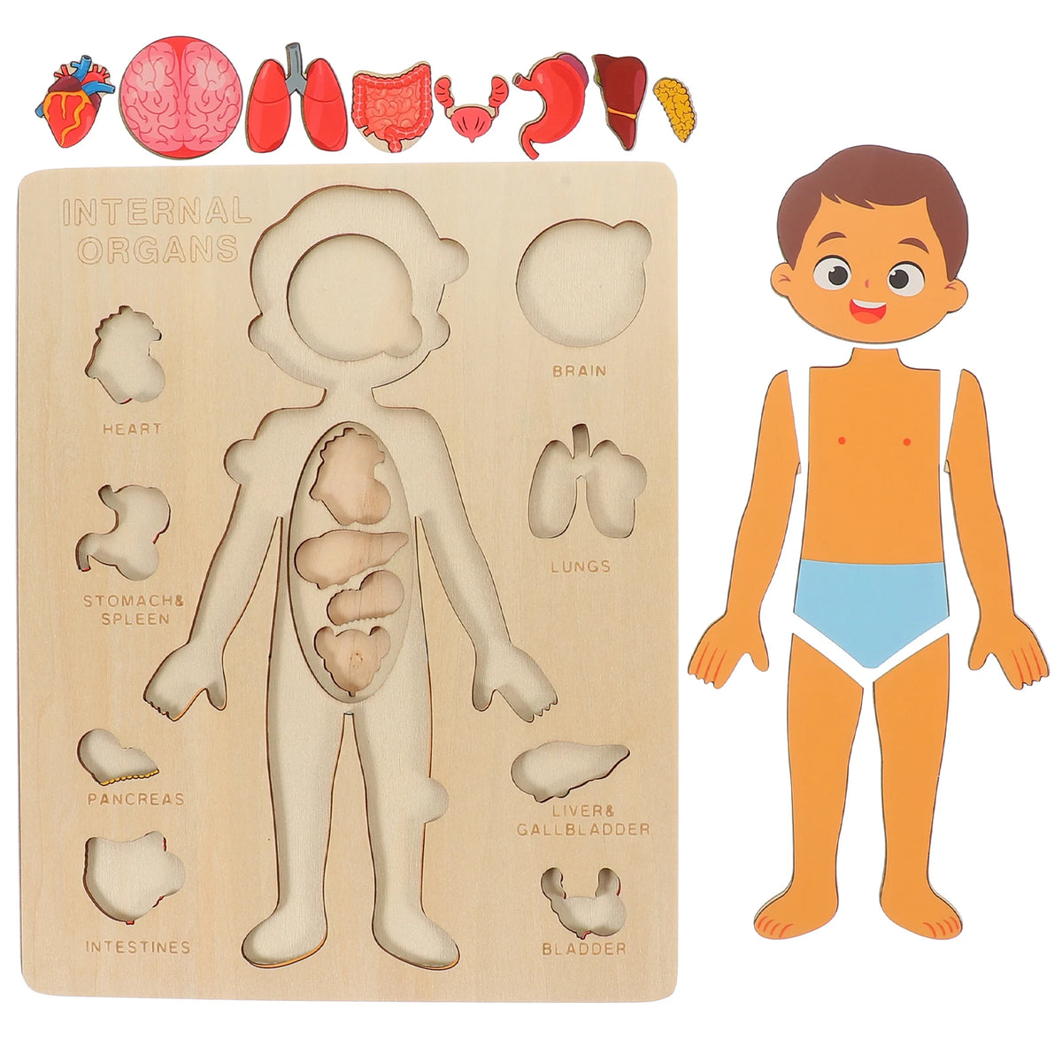 Human Body Puzzle for Kids – Wooden Body Parts Learning Toy