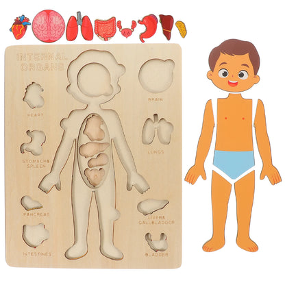 Human Body Puzzle for Kids – Wooden Body Parts Learning Toy