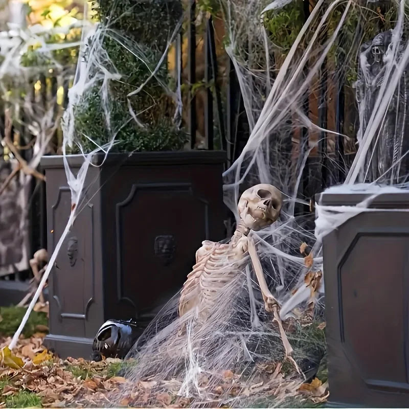 Halloween Spider Web Decoration with 2 Spiders, Stretchable Cobwebs