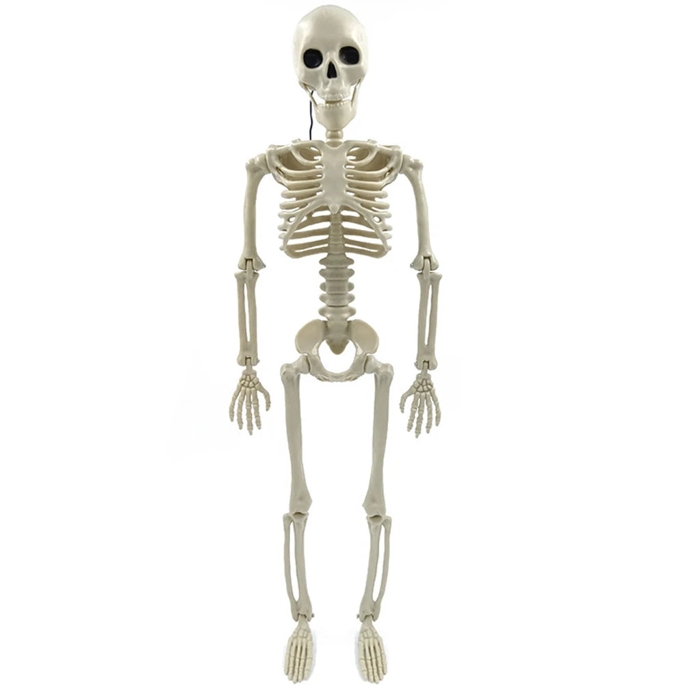 Halloween Skeleton Decoration, Posable Full-Size Figure for Yard