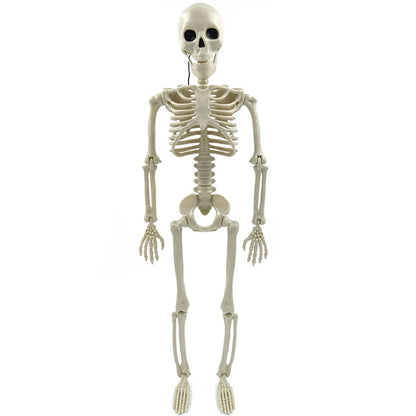 Halloween Skeleton Decoration, Posable Full-Size Figure for Yard