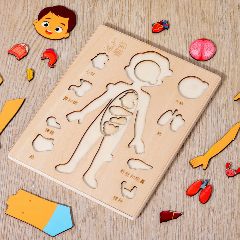 Human Body Puzzle for Kids – Wooden Body Parts Learning Toy