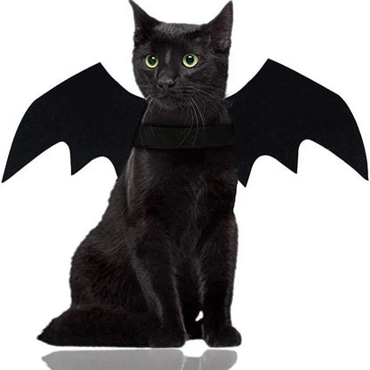 Cat Bat Wings Costume, Black Halloween Cosplay Accessory