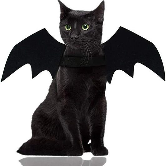 Cat Bat Wings Costume, Black Halloween Cosplay Accessory
