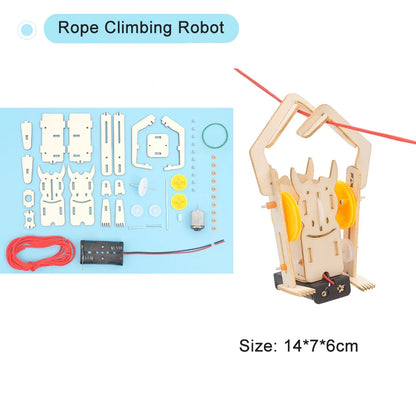 DIY STEM Science Kit Wooden Dinosaur Model for Teens