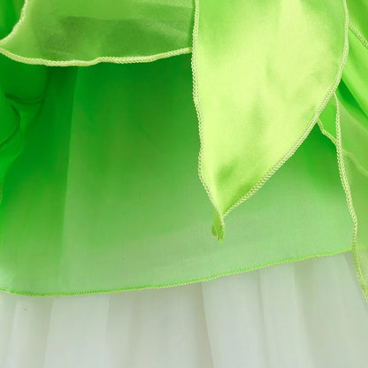 Girls Fairy Costume Dress with Wings for Halloween & Parties