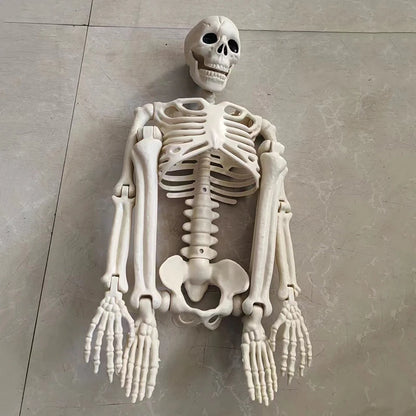 Halloween Skeleton Decoration Movable Skull Bones Horror Party Prop
