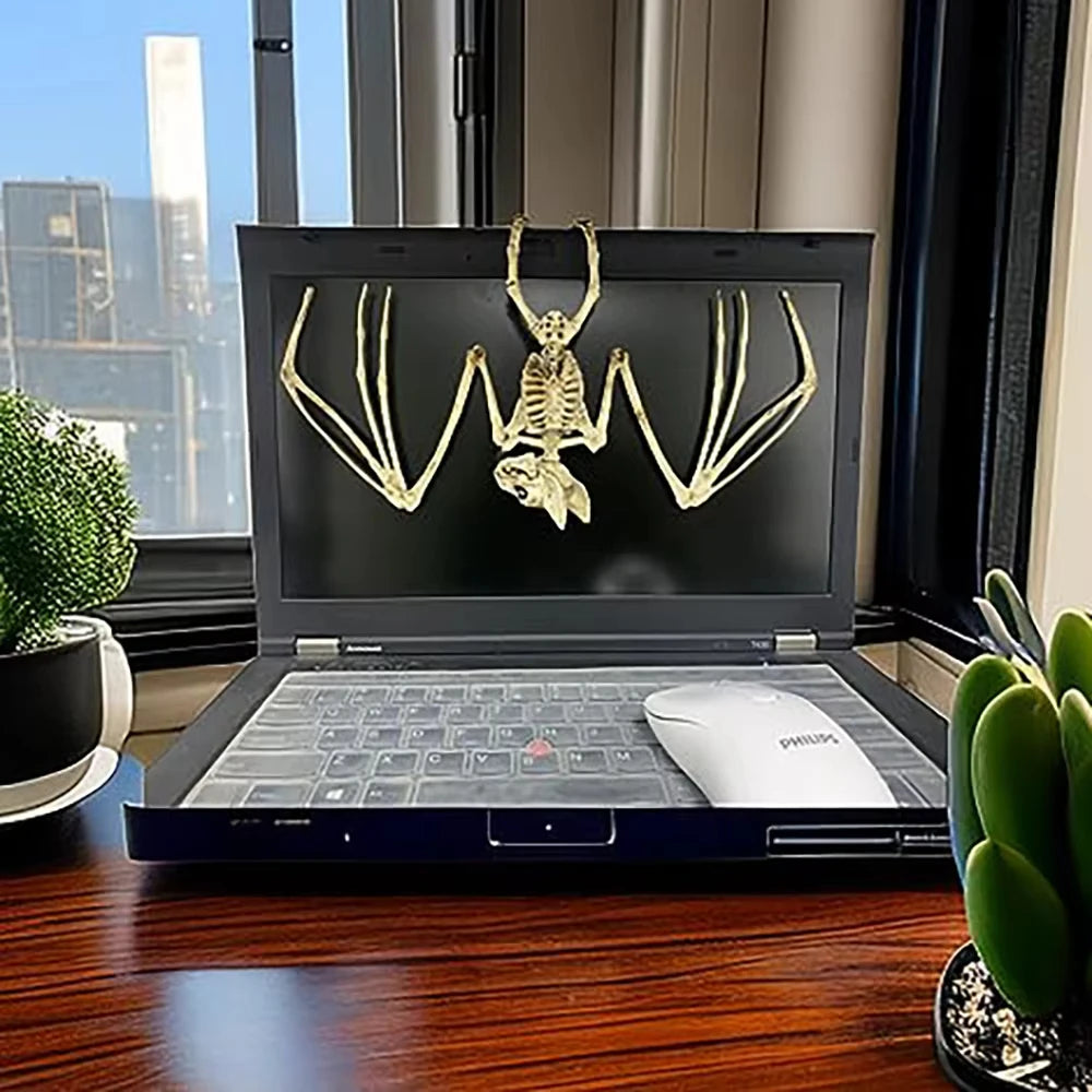 Halloween Bat Skeleton, Creepy Plastic Skeleton Decoration