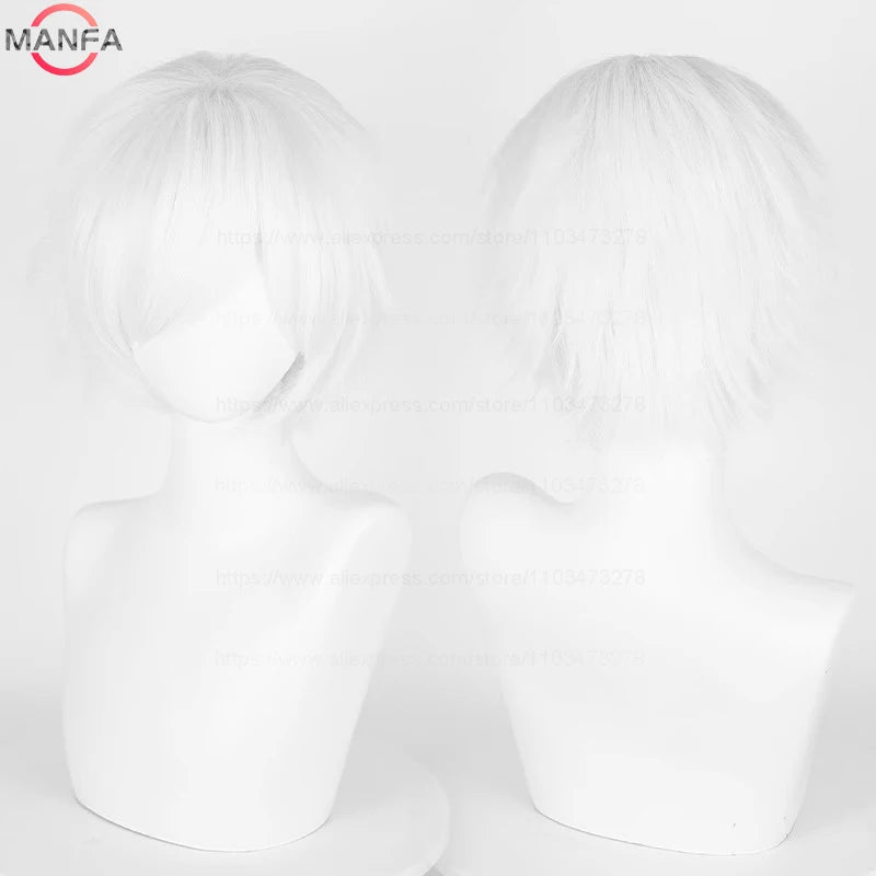 Short Cosplay Wig – 30cm Straight Heat Resistant Synthetic Hair