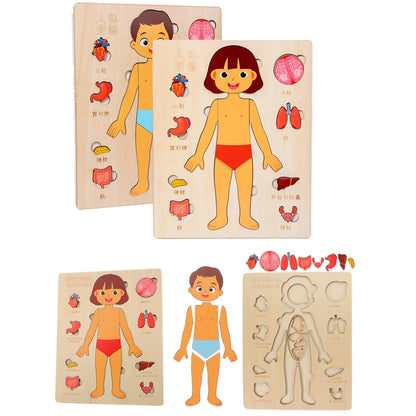 Human Body Puzzle for Kids – Wooden Body Parts Learning Toy