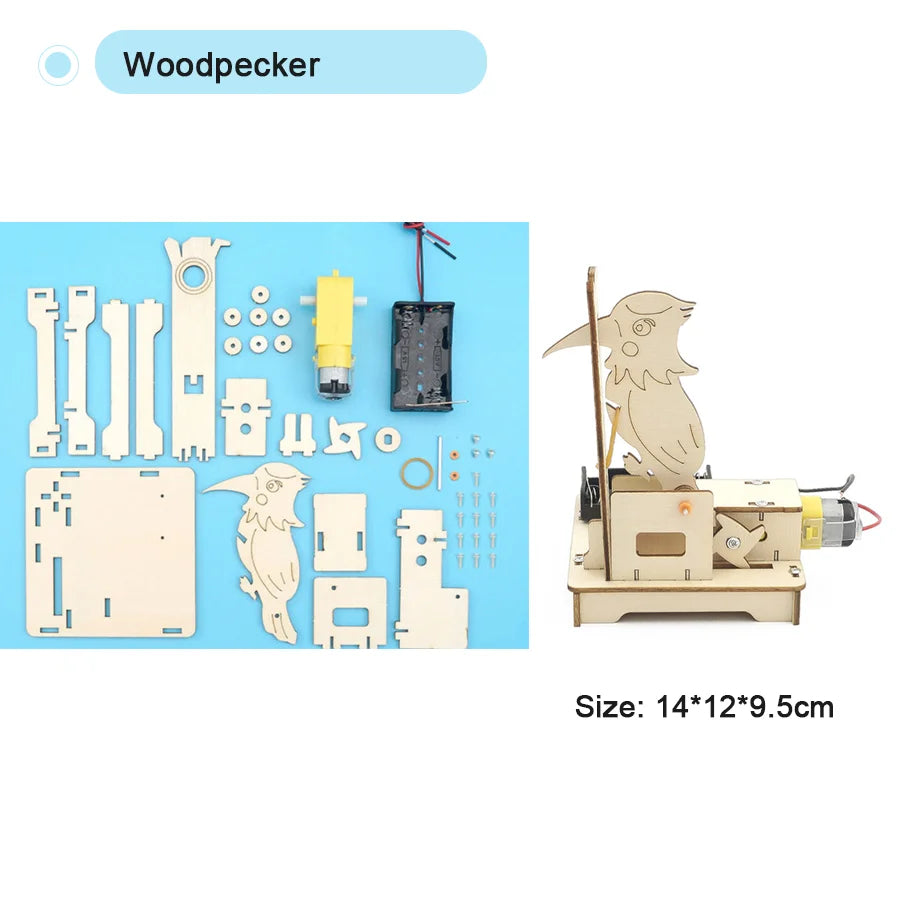 DIY STEM Science Kit Wooden Dinosaur Model for Teens