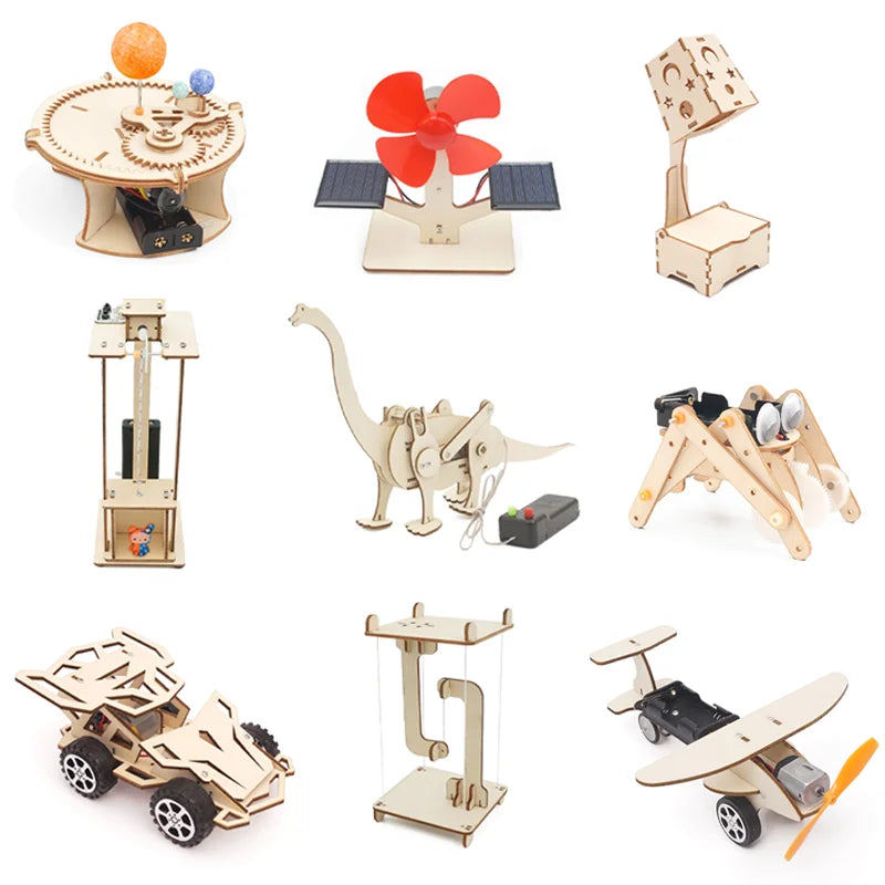 DIY STEM Science Kit Wooden Dinosaur Model for Teens