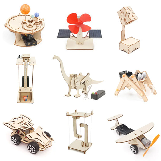 DIY STEM Science Kit Wooden Dinosaur Model for Teens