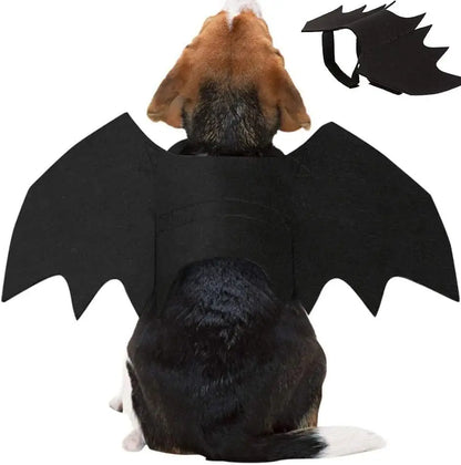 Cat Bat Wings Costume, Black Halloween Cosplay Accessory