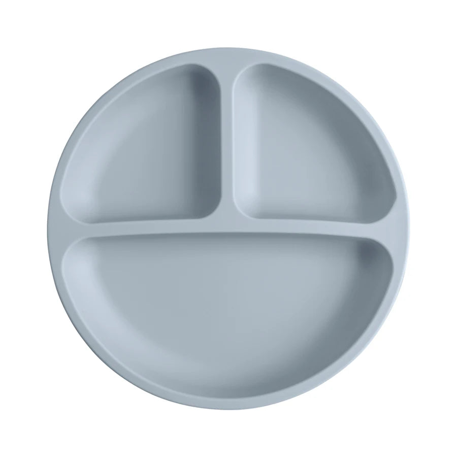 Silicone Suction Plate for Babies and Toddlers Feeding