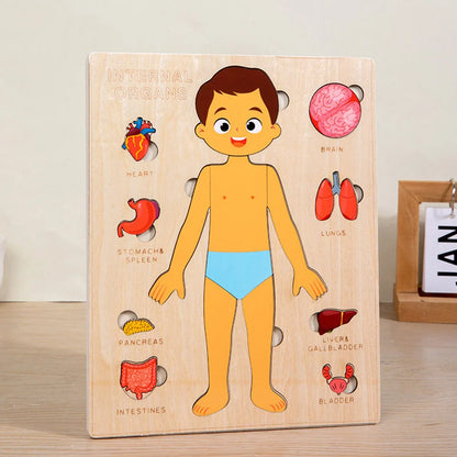 Human Body Puzzle for Kids – Wooden Body Parts Learning Toy