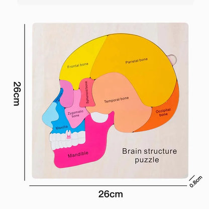 Human Body Puzzle for Kids – Wooden Body Parts Learning Toy