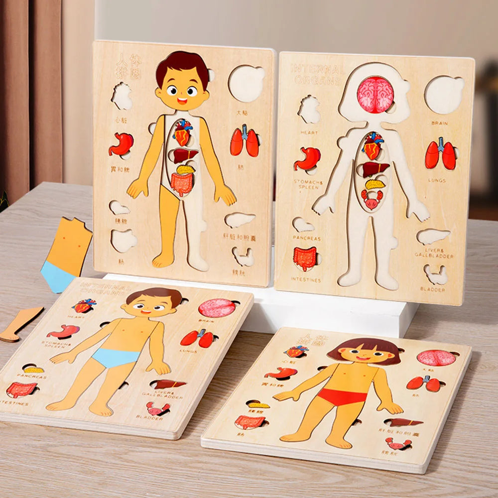 Human Body Puzzle for Kids – Wooden Body Parts Learning Toy